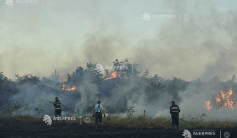 Kolozs megyében erdők és cserjések is a vegetációtűz áldozatául estek, a tűzoltók három napja küzdenek a lángokkal