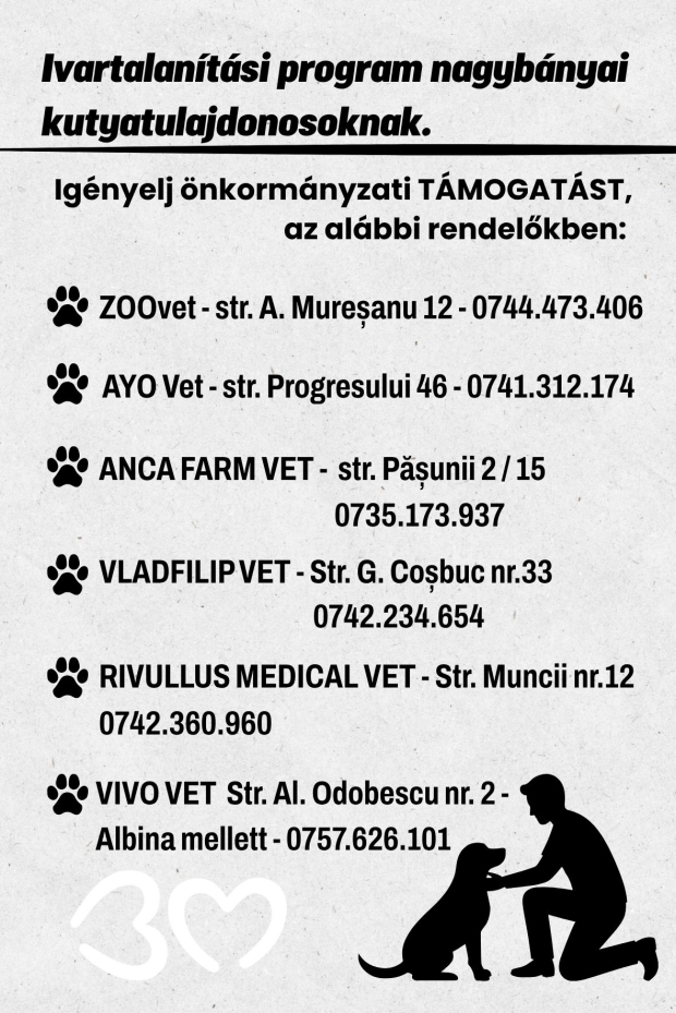 Elstartolt az ivartalanítási kampány Nagybányán!