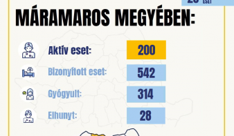 Járványhelyzet Máramaros megyében