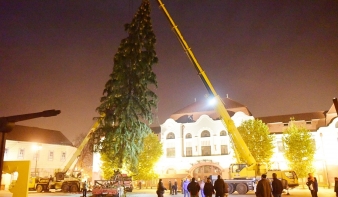 Nagybányán állították fel az ország legnagyobb karácsonyfáját