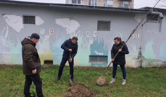 Megvolt az év utolsó faültetése a városban