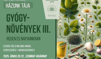 Fedezd fel a gyógynövények erejét – képzés Köllő Melinda-Máriával