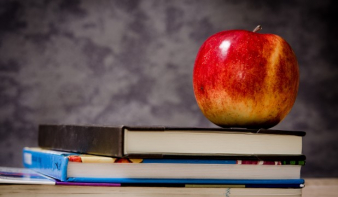 Meleg étel és délutáni oktatás minden iskolába! – döntőházként fogadta el a szenátus az RMDSZ oktatási tervezetét