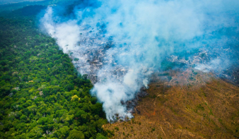 Ferenc pápa: Az amazonasi esőerdő bolygónk tüdeje
