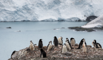 Abnormális tavaszi idő van az Antarktisznál