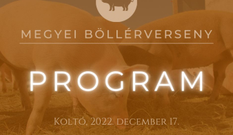 Megyei böllérverseny Koltón - PROGRAM