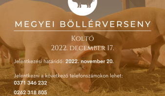 Máramarosi Böllérverseny 2022