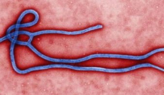 Ebola: Összehívták az Egészségügyi Világszervezet vészhelyzeti bizottságát