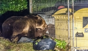 „Medvetörvényt” sürgetnek a székelyföldi elöljárók