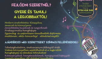 SZERETSZ ÉNEKELNI, TÁNCOLNI? FEJLŐDNI SZERETNÉL? GYERE ÉS TANULJ A LEGJOBBAKTÓL! 