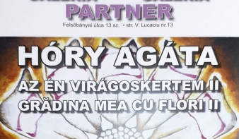 Hóry Agáta kiállítása a Partner Galériában