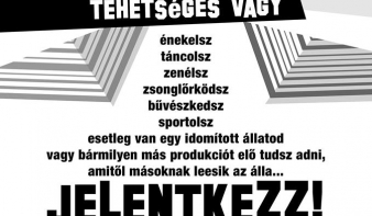 Erdélyből is várnak jelentkezőket a Hungary's Got Talent-ra