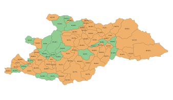 Máramarosban Nicușor Dan nyert!
