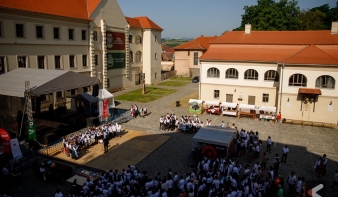 FEHÉR MEGYEI MAGYAR NAPOK: KULTÚRA, ZENE, SPORT ÉS JÓ HANGULAT!