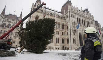 Miért január 6-án, vízkereszt napján kell leszedni a karácsonyfát?