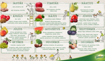 Szezonális gyümölcsök, zöldségek