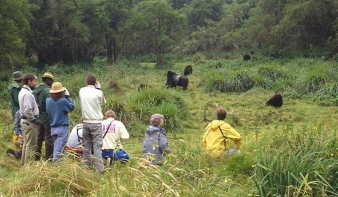 Gorillák mentenek meg számos ruandai közösséget