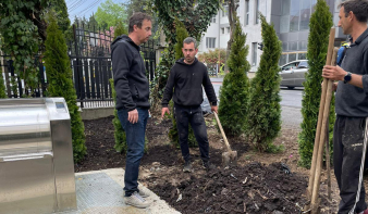 Befejeződött a tavaszi faültetési kampány Nagybányán