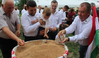 Koltón is gyűjtöttek búzát a Magyarok Kenyerébe