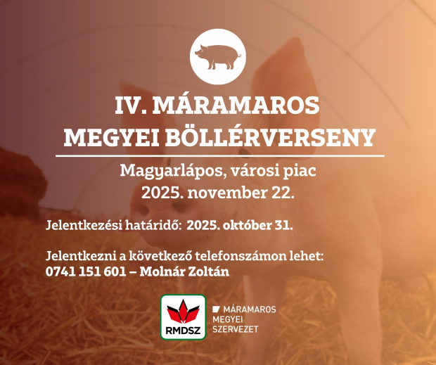 Negyedik alkalommal kerül megrendezésre a Máramarosi Böllérverseny