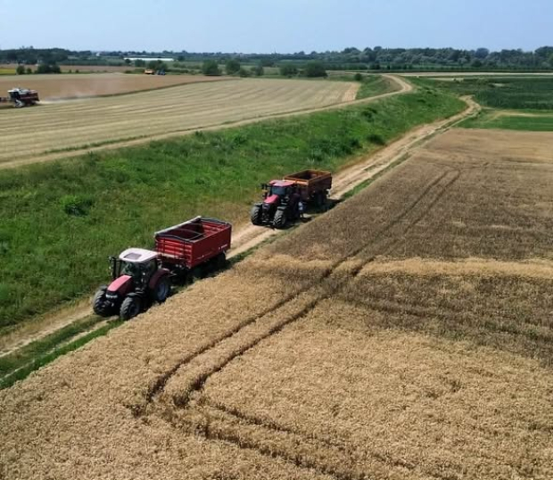 Kárfelmérésre várják az aszály miatt károsult gazdákat