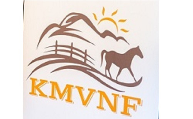 Kárpát-medencei vállalkozók fórumát tartják Nagybányán