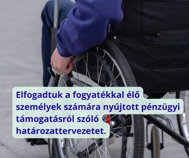 Pénzügyi támogatást kapnak a súlyos fogyatékossággal élő nagybányai lakosok